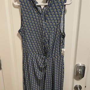NWT Lark and Ro dress